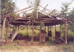Uncompleted Church Project in the Jungle